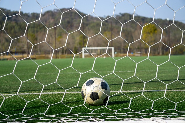 因紮吉宣布從貝內文托辭職 因輸球感到孤獨.