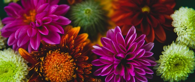 游泳春锦赛爆冷！张雨霏100蝶无缘领奖台，王一淳夺金+余依婷银.