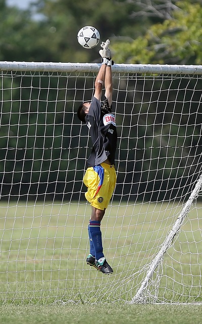 東契奇大贊亞歷山大 首席得分手防守難度升級.