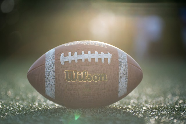 托納利非常致力於為紐卡斯爾聯效力 埃迪·豪：他是一名領袖.