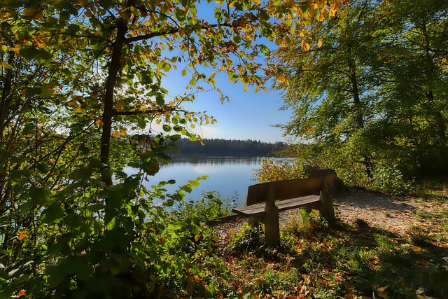 Relevo：利物浦已接受阿诺德离队的事实，并正在找寻替代者.